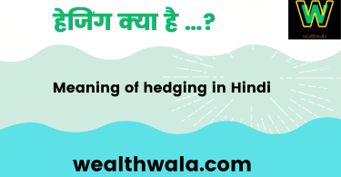 हेजिंग क्या है | Meaning of hedging in Hindi