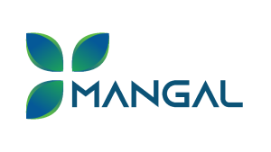 Mangal Electrical Share Price Target 2030