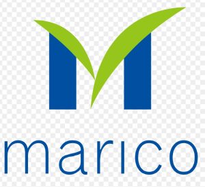 Marico Share Price Target 2030