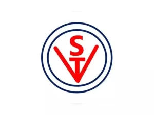 Vibhor Steel Tubes Share Price Target 2030