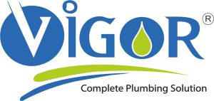 Vigor Plast India Ltd Share Price Target 2030