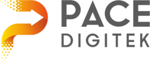 Pace Digitek Share Price Target